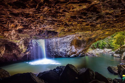 Full-day Springbrook National Park Tour From The Gold Coast - Hotel NSW 3