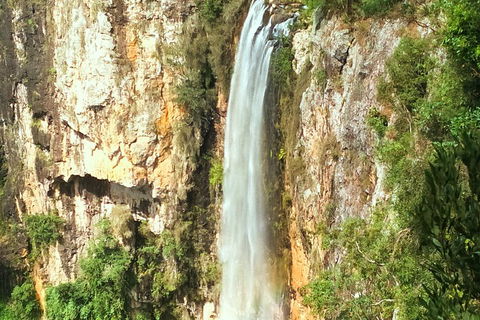 Natural Arch, Rainforest & Volcano Canyon - Private Half Day Tour - Hotel NSW 2