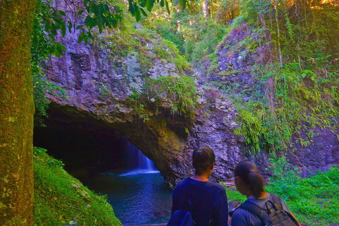 Natural Arch, Rainforest & Volcano Canyon - Private Half Day Tour - Hotel NSW 4