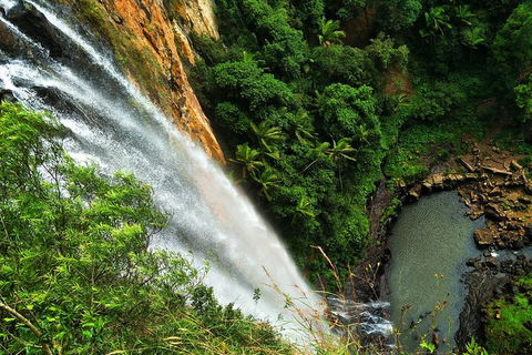 Natural Arch, Rainforest & Volcano Canyon - Private Half Day Tour - Hotel NSW 5
