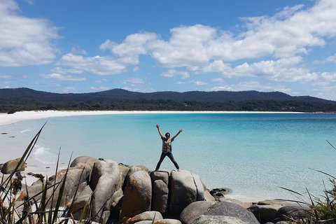Tasmania 4 Day East Coast + Launceston - Hotel NSW 1