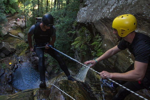 Blue Mountains Empress Canyon Adventure From Wentworth Falls - Hotel NSW 2