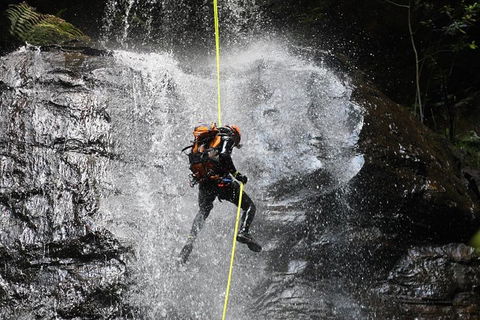 Blue Mountains Empress Canyon Adventure From Wentworth Falls - Hotel NSW 3