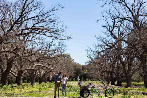 Adelaide 90-Minute Pedicab Tour: Scenic Green & River Experience - Hotel NSW 1