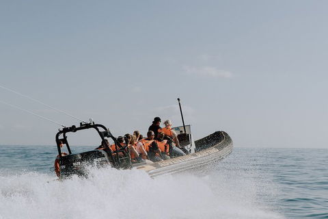 Adventure Whale Watching Tour Mooloolaba - Hotel NSW 0