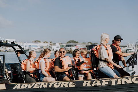 Adventure Whale Watching Tour Mooloolaba - Hotel NSW 4