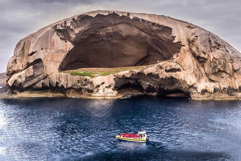 Wilsons Promontory Wilderness Cruise From Tidal River - Hotel NSW 0