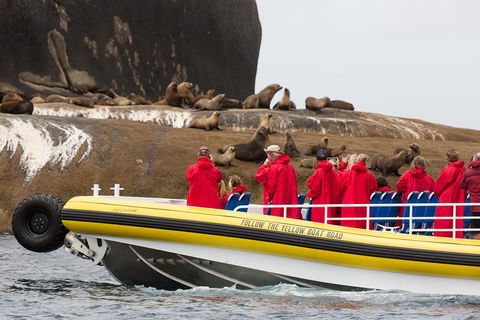 Wilsons Promontory Wilderness Cruise From Tidal River - Hotel NSW 1