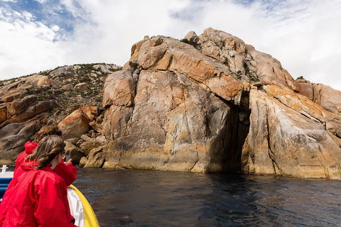 Wilsons Promontory Wilderness Cruise From Tidal River - Hotel NSW 3