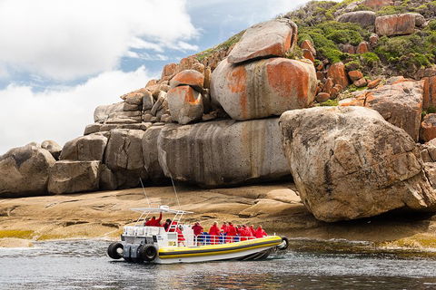 Wilsons Promontory Wilderness Cruise From Tidal River - Hotel NSW 4