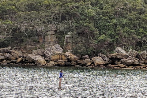 Manly & Sydney's Northern Beaches With 'Personalised Sydney Tours' - Hotel NSW 3