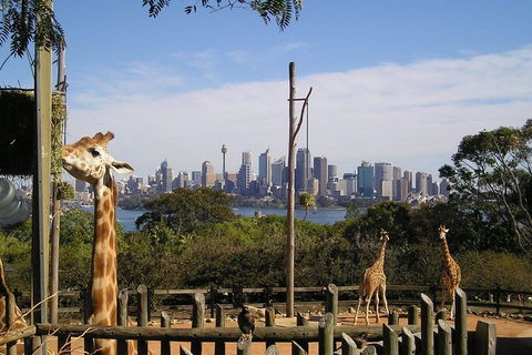 Sydney Taronga Zoo's Australian Animals Tour - Hotel NSW 4
