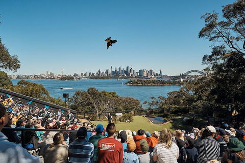 Sydney Taronga Zoo's Australian Animals Tour - Hotel NSW 5