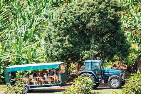 Tropical Fruit World With Wildlife Boat Cruise From Gold Coast - Hotel NSW 1