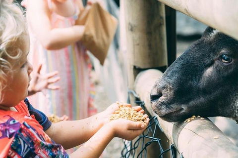 Tropical Fruit World With Wildlife Boat Cruise From Gold Coast - Hotel NSW 5