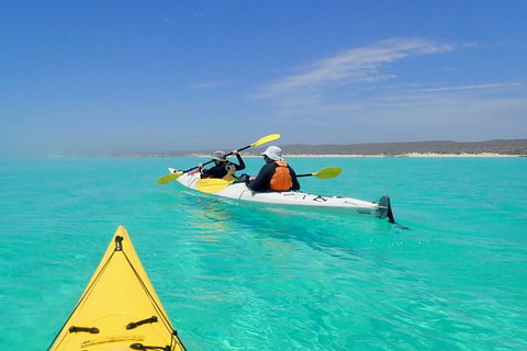 Lagoon Explorer - Ningaloo Reef Full-Day Kayaking And Snorkeling Adventure - Hotel NSW 0