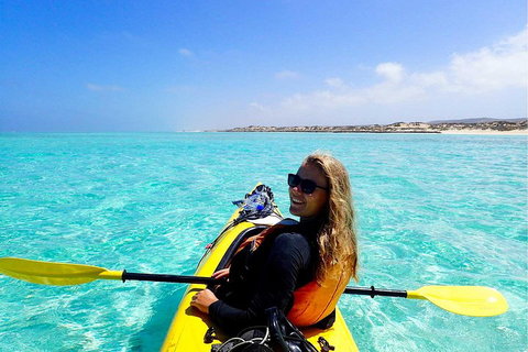 Lagoon Explorer - Ningaloo Reef Full-Day Kayaking And Snorkeling Adventure - Hotel NSW 1