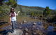 Mt Field National Park Active Day-Trip Including Bonorong And Mt Wellington - thumb 4