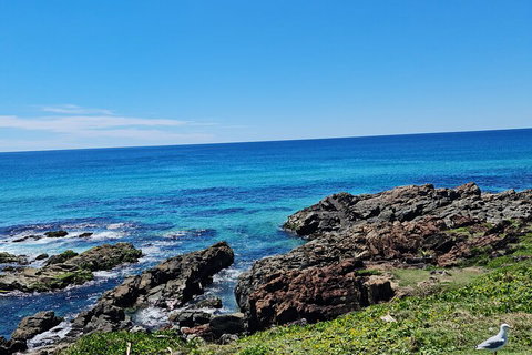 Private Custom Byron Bay Day Out - Hotel NSW 4