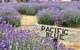 Kangaroo Island Food And Wine Trail Tour - thumb 0
