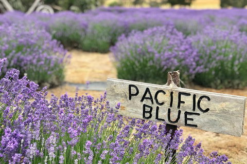 Kangaroo Island Food And Wine Trail Tour - Hotel NSW 0