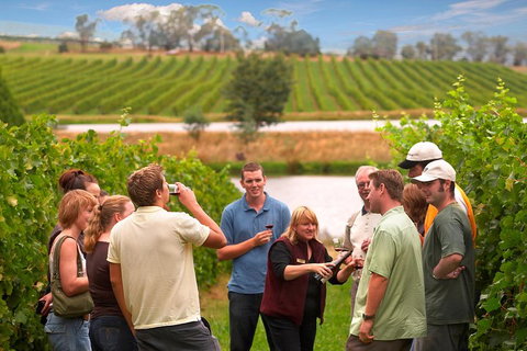 Yarra Valley Balloon Flight And Winery Tour - Hotel NSW 4