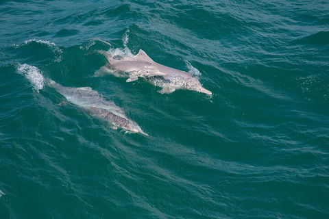 North Stradbroke Island Private Tour With Pickup - Hotel NSW 0