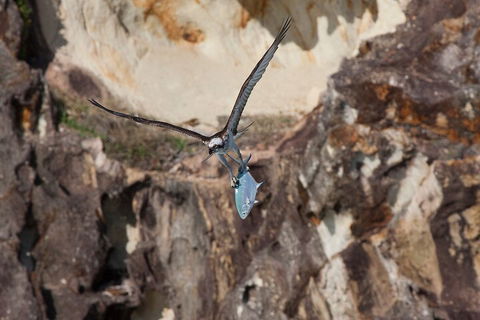 North Stradbroke Island Private Tour With Pickup - Hotel NSW 2