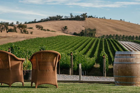 Yarra Valley 2-6 Guests With Lunch And Gin Tasting At Four Pillars - Hotel NSW 5