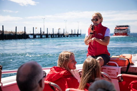Adventure Rottnest Tour With Ferry & Adventure Cruise From Perth Or Fremantle - Hotel NSW 4