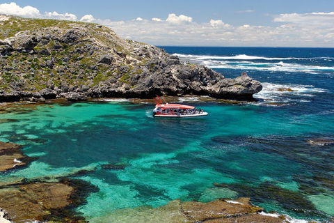 Adventure Rottnest Tour With Ferry & Adventure Cruise From Perth Or Fremantle - Hotel NSW 5