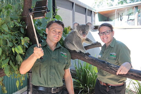 Virtual Interactive Australian Wildlife Tour With Private Guide-Wildlife Habitat - Hotel NSW 0