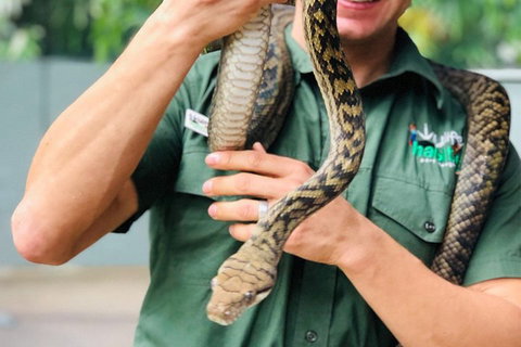 Virtual Interactive Australian Wildlife Tour With Private Guide-Wildlife Habitat - Hotel NSW 1