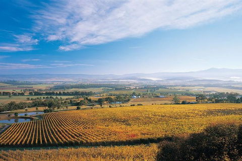 Melbourne City Tour And Half Day Yarra Valley In One Day - Hotel NSW 5