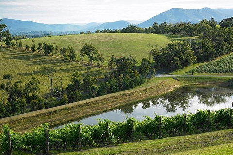 Yarra Valley Wine And Cider Tours By Classic Convertibles From Melbourne - Hotel NSW 1