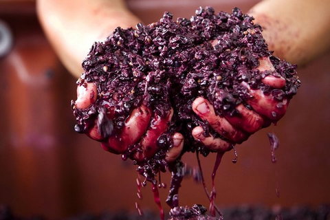Yarra Valley Wine And Cider Tours By Classic Convertibles From Melbourne - Hotel NSW 2