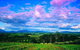 Yarra Valley Wine And Cider Tours By Classic Convertibles From Melbourne - thumb 3