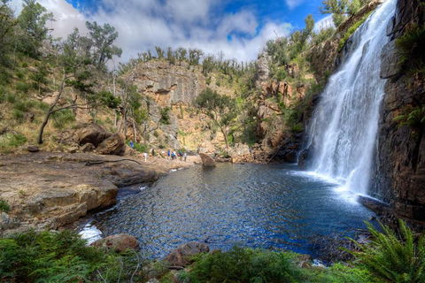 Melbourne To Adelaide South East Coast 3 Day Overland Tour - Hotel NSW 4