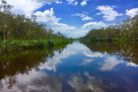 Noosa Everglades Serenity Cruise & Highlights Tour Inc. Lunch & Cruise - Hotel NSW 0