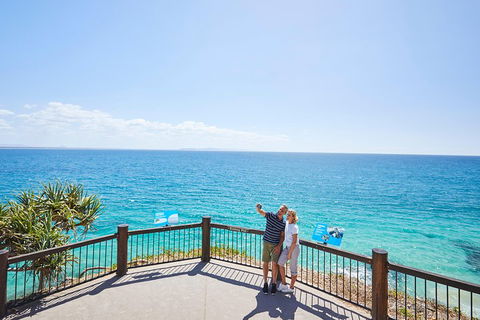 Noosa Everglades Serenity Cruise & Highlights Tour Inc. Lunch & Cruise - Hotel NSW 3