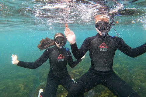 Manly Snorkel Trip And Nature Walk With Local Guide - Hotel NSW 3