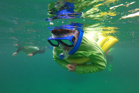Manly Snorkel Trip And Nature Walk With Local Guide - Hotel NSW 5