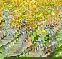 Margaret River Indulge and Discover Day Tour - Hotel NSW