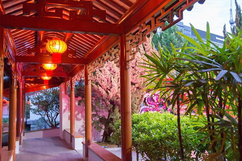 Chinese Garden General Admission Ticket - Hotel NSW 4