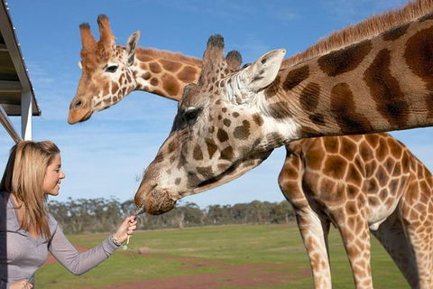Melbourne City Card (2 Days): Visit Unlimited Attractions! - Hotel NSW 1