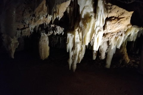 The Pinnacle Adventure Tour - Hotel NSW 0