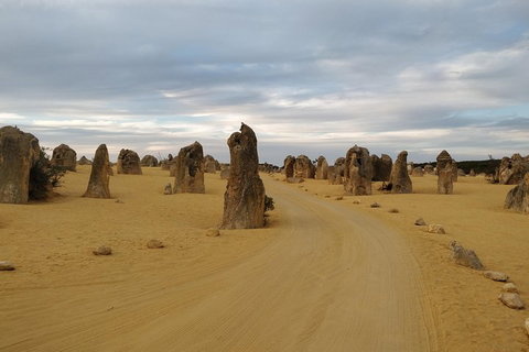 The Pinnacle Adventure Tour - Hotel NSW 1