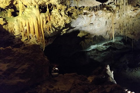 The Pinnacle Adventure Tour - Hotel NSW 2