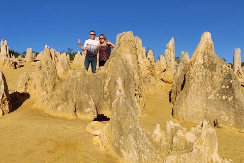 The Pinnacle Adventure Tour - Hotel NSW 4
