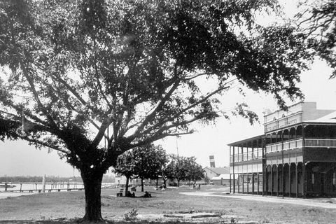 Cairns History Walking Tour - Hotel NSW 2